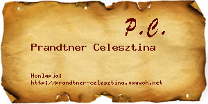 Prandtner Celesztina névjegykártya